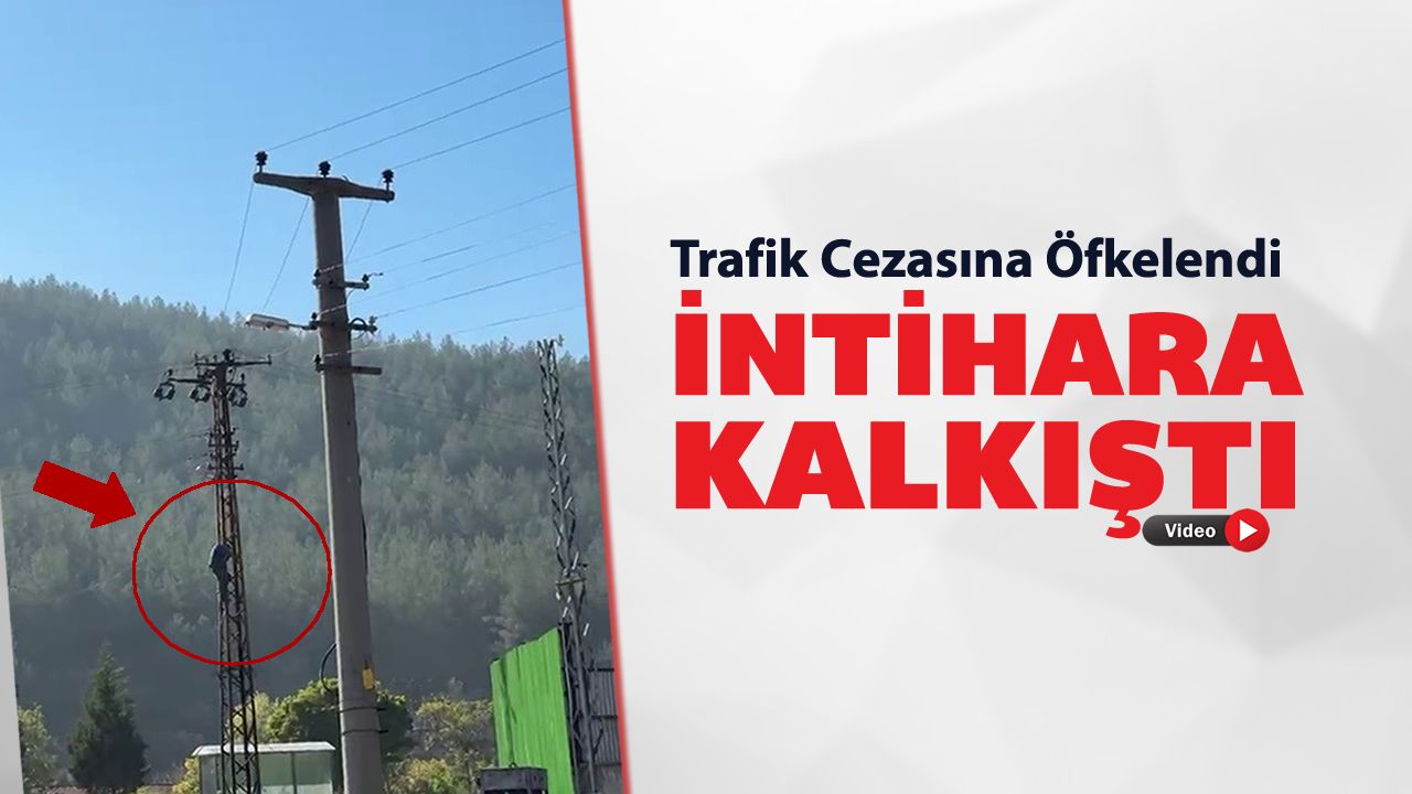 CEZAYA ÖFKELENEN SÜRÜCÜ ELEKTRİK DİREĞİNE ÇIKTI