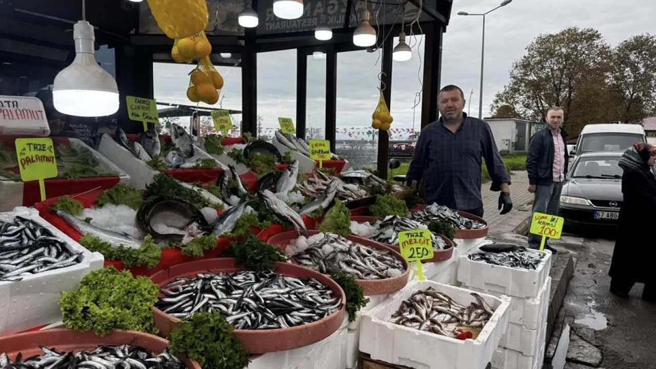 ALAPLI TEZGAHLARINDA HAMSİNİN KİLOSU 100 LİRADAN SATILDI