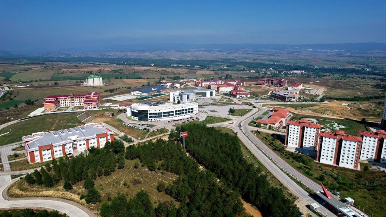 KASTAMONU ÜNİVERSİTESİ YENİ NESİL YAPI MALZEMELERİ  GELİŞTİRECEK