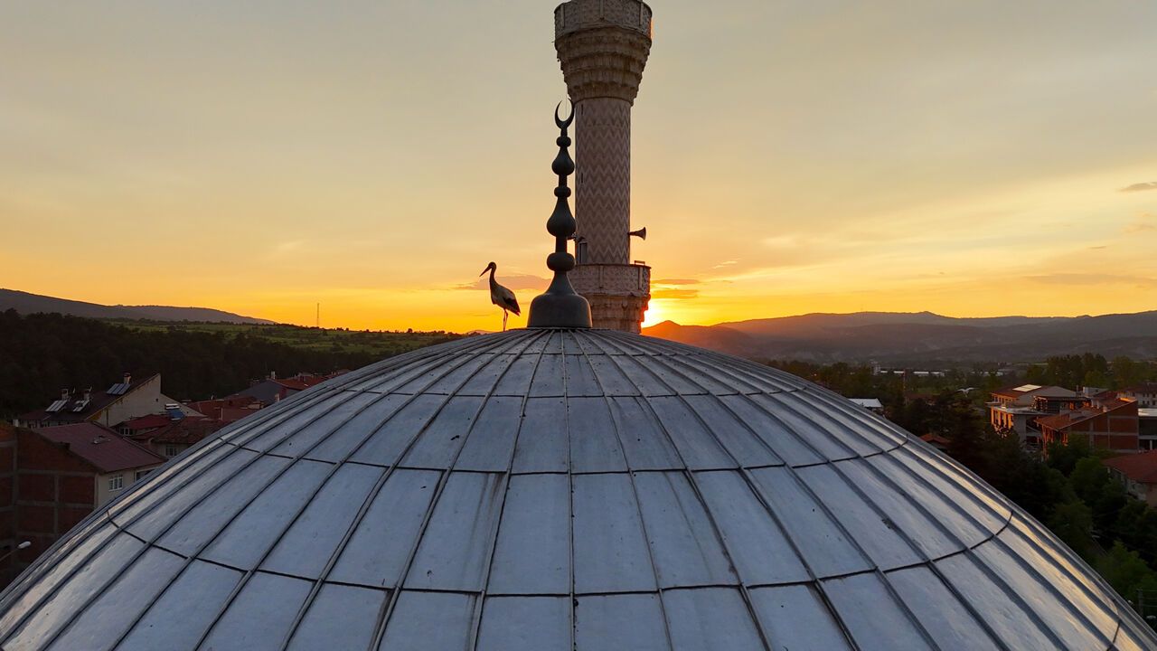 LEYLEKLER GÜN BATIMINI CAMİ KUBBESİNDE KARŞILADI