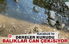 KARABÜK’TE DERELER KURUDU, BALIKLAR CAN ÇEKİŞİYOR