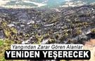 KARABÜK'TE İLK AĞAÇ DİKİMİ 11 KASIM'DA