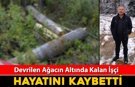 DEVRİLEN AĞACIN ALTINDA KALAN İŞÇİ HAYATINI KAYBETTİ