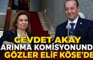ARINMA KURULUNDA CEVDET AKAY DA VAR, GÖZLER ELİF KÖSE DE
