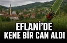 EFLANİ’DE KENE ISIRMASI SONUCU BİR KİŞİ HAYATINI KAYBETTİ