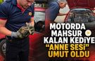 MOTORDA MAHSUR KALAN KEDİYE “ANNE SESİ” UMUT OLDU