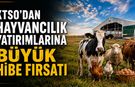 KTSO'DAN HAYVANCILIK YATIRIMLARINA BÜYÜK HİBE FIRSATI