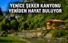 YENİCE ŞEKER KANYONU YENİDEN HAYAT BULUYOR