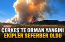 ÇERKEŞ’TE ORMAN YANGINI EKİPLER SEFERBER OLDU