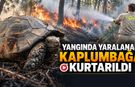 KARABÜK’TE ÖRTÜ YANGINI BÜYÜMEDEN SÖNDÜRÜLDÜ