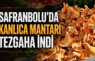 SAFRANBOLU’DA KANLICA MANTARI TEZGAHA İNDİ