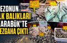 SEZONUN İLK BALIKLARI KARABÜK’TE TEZGAHA ÇIKTI