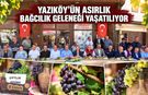 YAZIKÖY’ÜN ASIRLIK BAĞCILIK GELENEĞİ YAŞATILIYOR