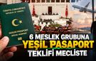 6 MESLEK GRUBUNA YEŞİL PASAPORT TEKLİFİ MECLİSTE