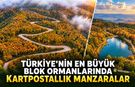 TÜRKİYE'NİN EN BÜYÜK BLOK ORMANLARINDAN KARTPOSTALLIK MANZARALAR