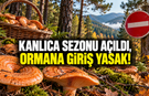 KARABÜK’TE KANLICA SEZONU AÇILDI FAKAT ORMANA GİRİŞ YASAK