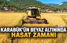 KARABÜK’ÜN BEYAZ ALTININDA HASAT ZAMANI