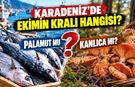 KARADENİZ'DE EKİMİN KRALI HANGİSİ?  PALAMUT MU?  KANLICA MI?