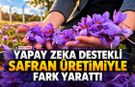 YAPAY ZEKA DESTEKLİ SAFRAN ÜRETİMİYLE FARK YARATTI