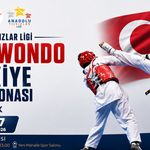 ANADOLU YILDIZLAR LİGİ TAEKWONDO ŞAMPİYONASI KARABÜKTE