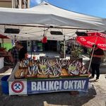 BALIKÇILARDAN MÜJDE "BU SENE DENİZDEN BALIK FIŞKIRACAK"