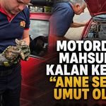 MOTORDA MAHSUR KALAN KEDİYE “ANNE SESİ” UMUT OLDU