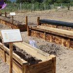 DÜNYANIN EN PAHALI BAHARATINA ÇELİK KALKAN