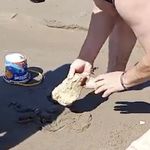 PLAJDA YILAN PANİĞİ