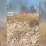 KASTAMONU’DA OTLUK ALANDAKİ YANGIN MEZARLIĞA SIÇRADI