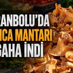 SAFRANBOLU’DA KANLICA MANTARI TEZGAHA İNDİ