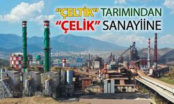 "ÇELTİK" TARIMINDAN "ÇELİK" SANAYİİNE