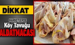 KÖY TAVUĞU ALIRKEN DİKKAT EDİN KANDIRILMAYIN