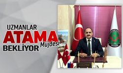 ATANAMAYAN UZMANLAR MÜJDE BEKLİYOR