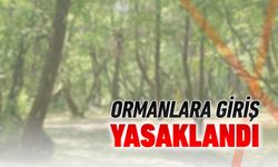 KARABÜK'TE ORMANLARA GİRİŞLER YASAKLANDI