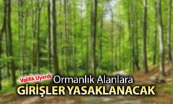 ORMANLIK ALANLARA GİRİŞLER YASAKLANACAK