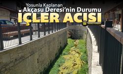 AKÇASU DERESİ'NİN DURUMU İÇLER ACISI