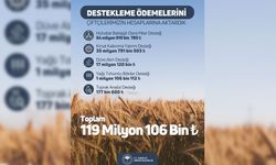 ÇİFTÇİLERE 119 MİLYONLİRALIK DESTEK ÖDEMESİ YAPILDI