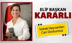 ELİF BAŞKAN, CAN DOSTLARI İÇİN KARARLI