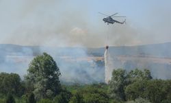 GÖL ETRAFINDAKİ SAZLIK ALANDA YANGIN ÇIKTI