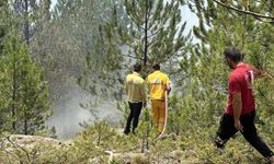 KASTAMONU'DAKİ ORMAN YANIGNI KONTROL ALTINA ALINDI