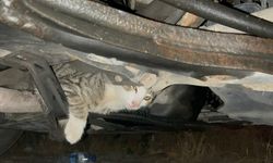 OTOMOBİLİN MOTORUNA GİREN KEDİYİ İTFAİYE ÇIKARTTI