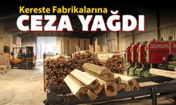 KERESTE FABRİKALARINA CEZA YAĞDI