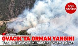 OVACIK'TA ORMAN YANGINI BÜYÜYEREK DEVAM EDİYOR