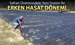 SAFRAN ÜRETİMİNDE YENİ SİSTEMLE ERKEN ÜRETİM HEDEFLENİYOR