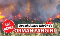 OVACIK'TA ORMAN YANGINI