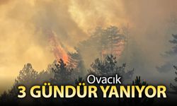 OVACIK 3 GÜNDÜR YANIYOR