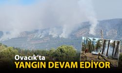 OVACIK'TA YANGIN DEVAM EDİYOR