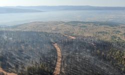 YANGIN SONRASI GÖRÜNTÜLER YÜREKLERİ SIZLATTI