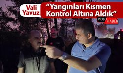 YANGINLARDA 23 HEKTAR ALAN KÜL OLDU