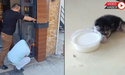 DUVAR BOŞLUĞUNA DÜŞEN YAVRU KEDİ KURTARILDI